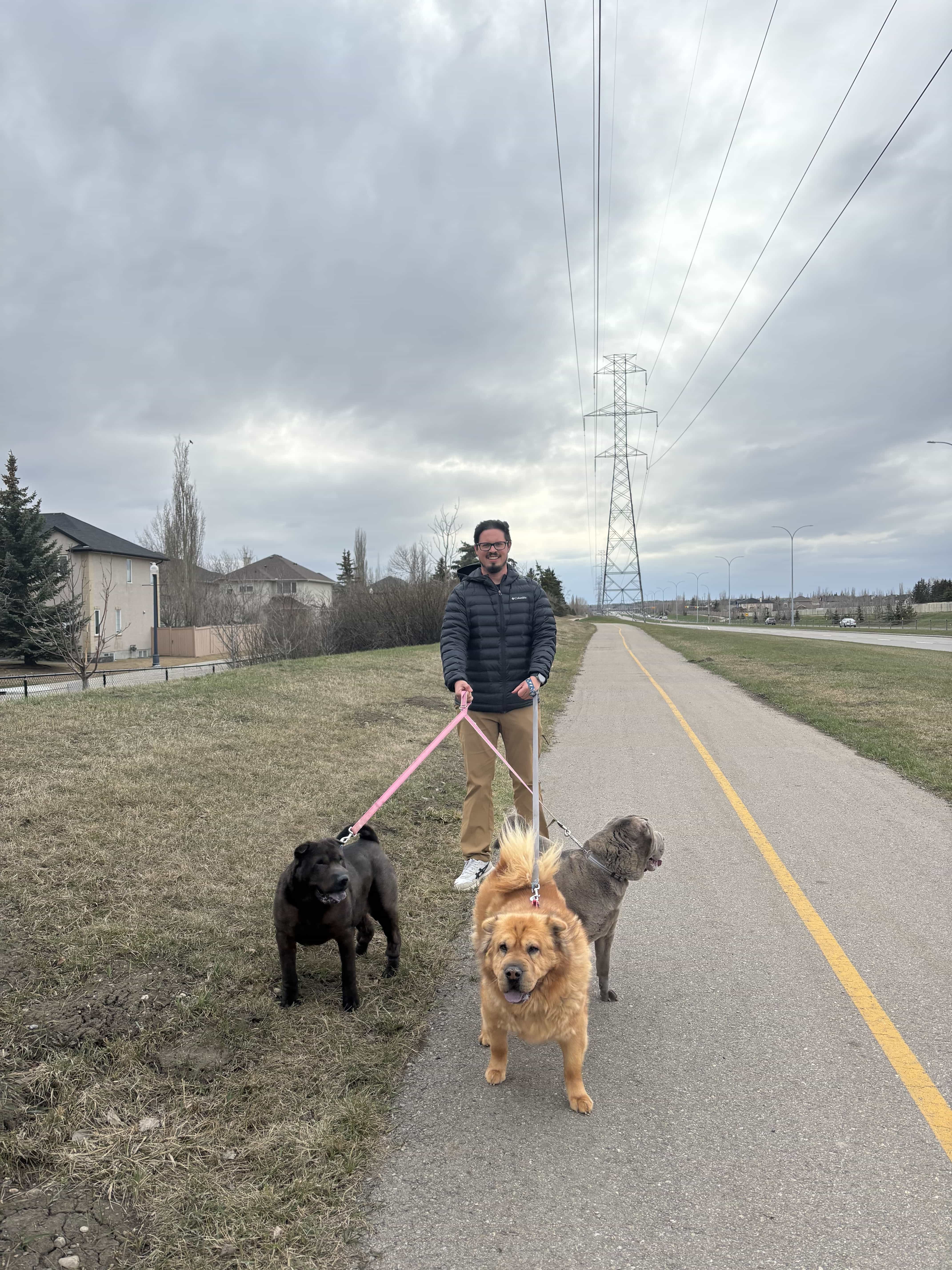 Paseando perros
